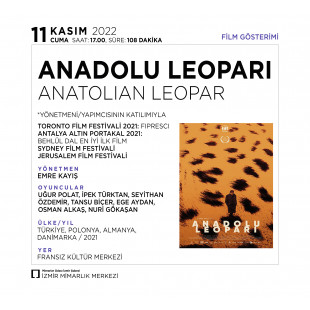 Anadolu Leoparı