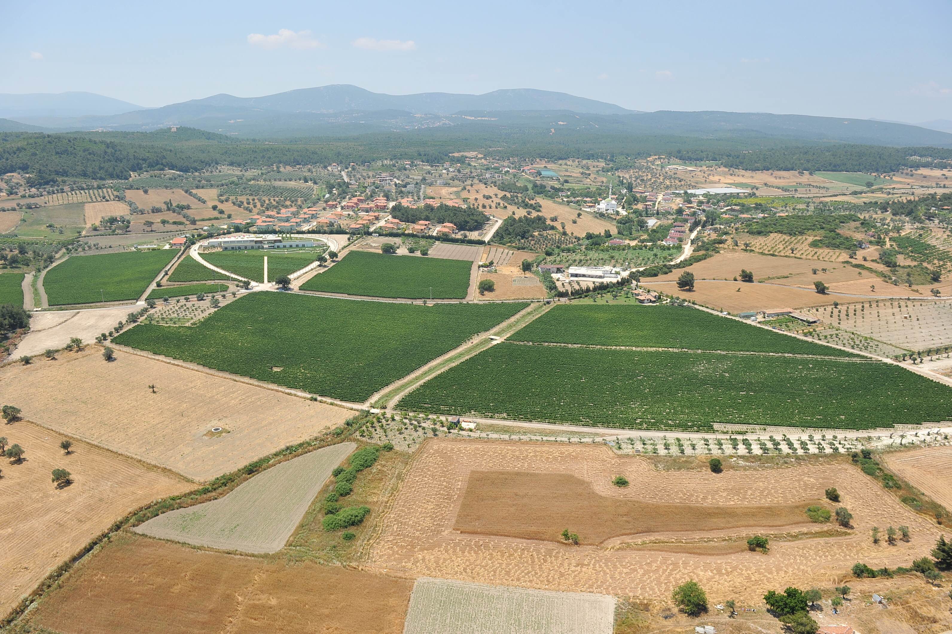 Teruar Urla