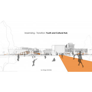 Maximizing - Transition: Youth and Cultural Hub