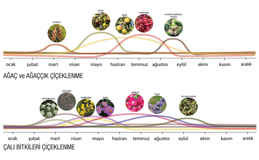 2. ÖDÜL, Olivelo – İzmir Kent Çeperinde Ekolojik Ortak Yaşam Alanı Fikir Projesi Yarışması