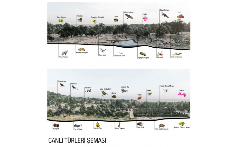 2. ÖDÜL, Olivelo – İzmir Kent Çeperinde Ekolojik Ortak Yaşam Alanı Fikir Projesi Yarışması