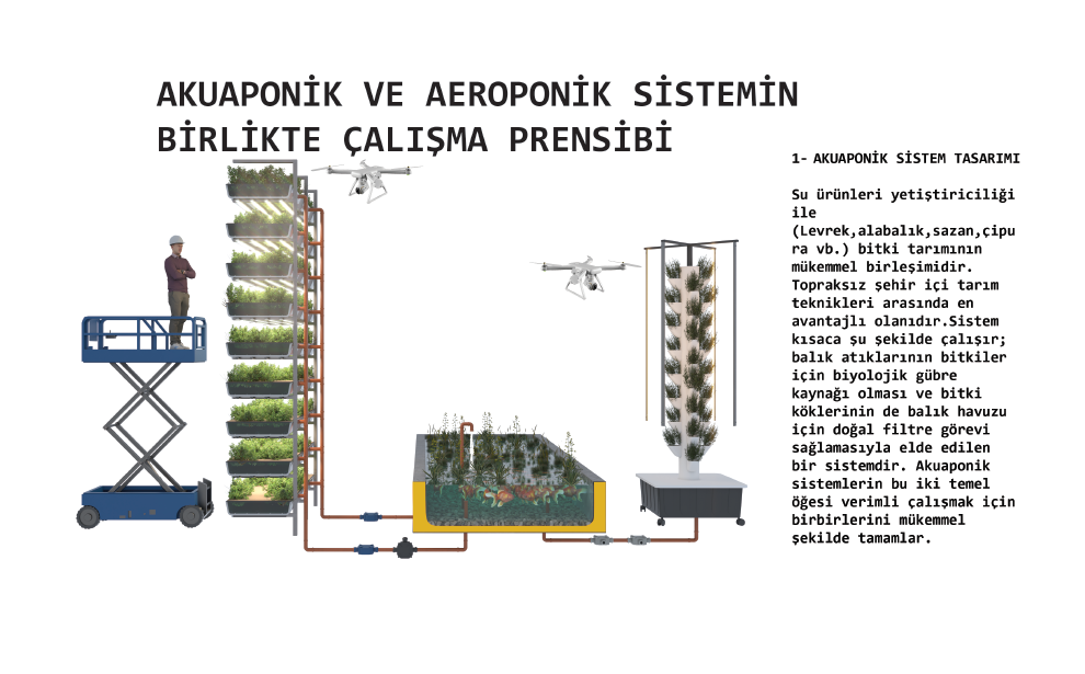 İzmir Sürdürülebilirlik Merkezi (S-Hub) Mimari Proje Yarışması, 5. Mansiyon
