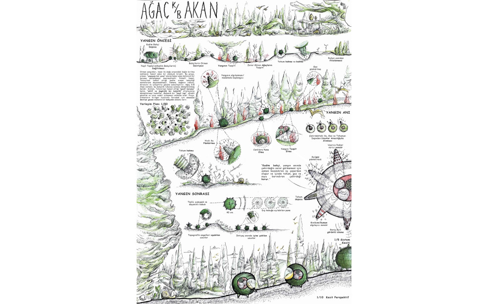 "YANGIN VAR! Orman Yangınlarına Karşı Yaratıcı Çözümler Öğrenci Fikir Projesi Yarışması" Sergisi