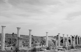 Tripolis Tasarım Araştırmaları Sergisi 14-29 Mart'ta İzmir Mimarlık Merkezi'nde!