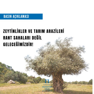ZEYTİNLİKLER VE TARIM ALANLARI RANT SAHALARI DEĞİL, GELECEĞİMİZDİR!
